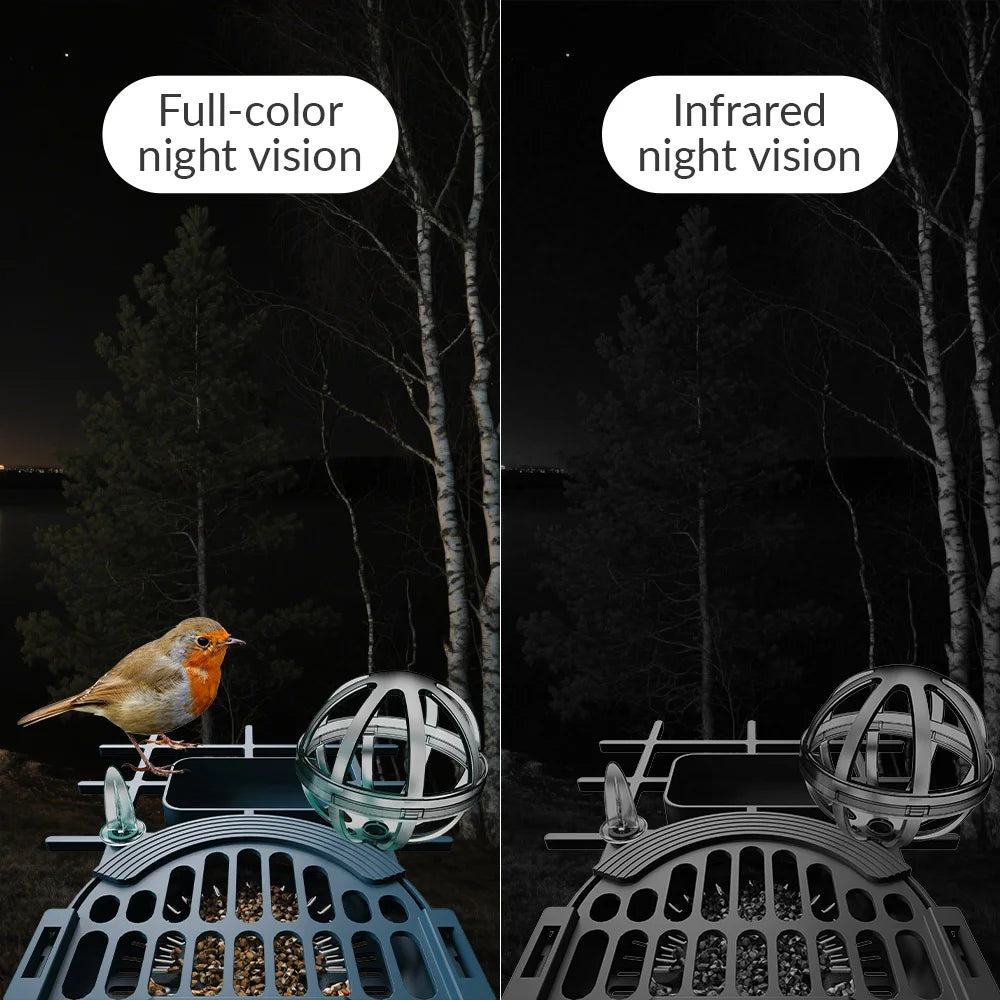 Solar WLAN Vogelhauskamera mit 4MP HD Nachtsicht