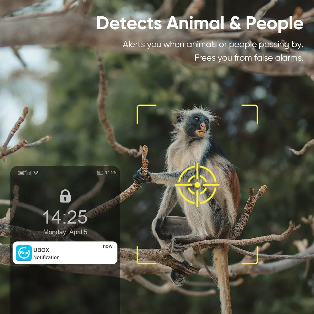 4G WiFi Solar Outdoor Camera 2K HD Color Night Vision