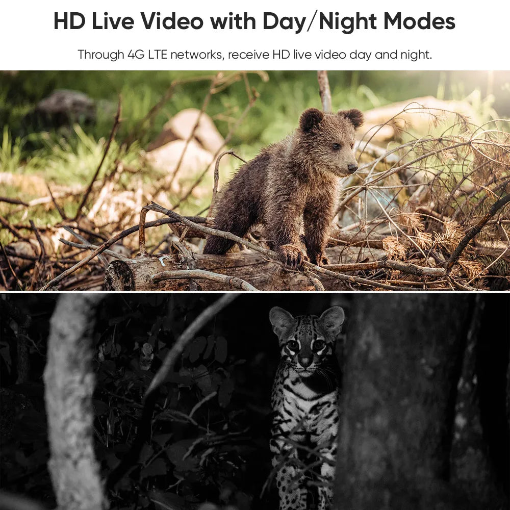 4G WiFi Solar Outdoor Camera 2K HD Color Night Vision